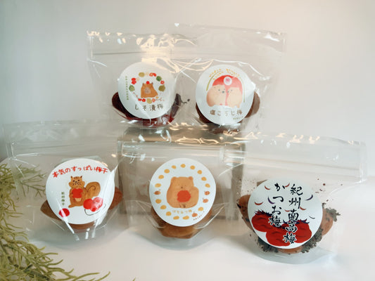 梅干バラエティーセット 各味100g*5p 化粧箱入