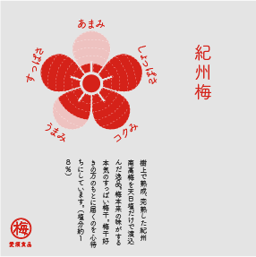 梅干バラエティーセット 各味100g*5p　化粧箱入