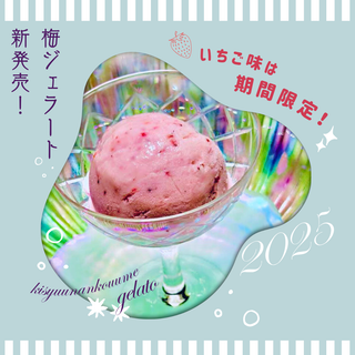 手作り南高梅ジェラート６種セット　120mlx6