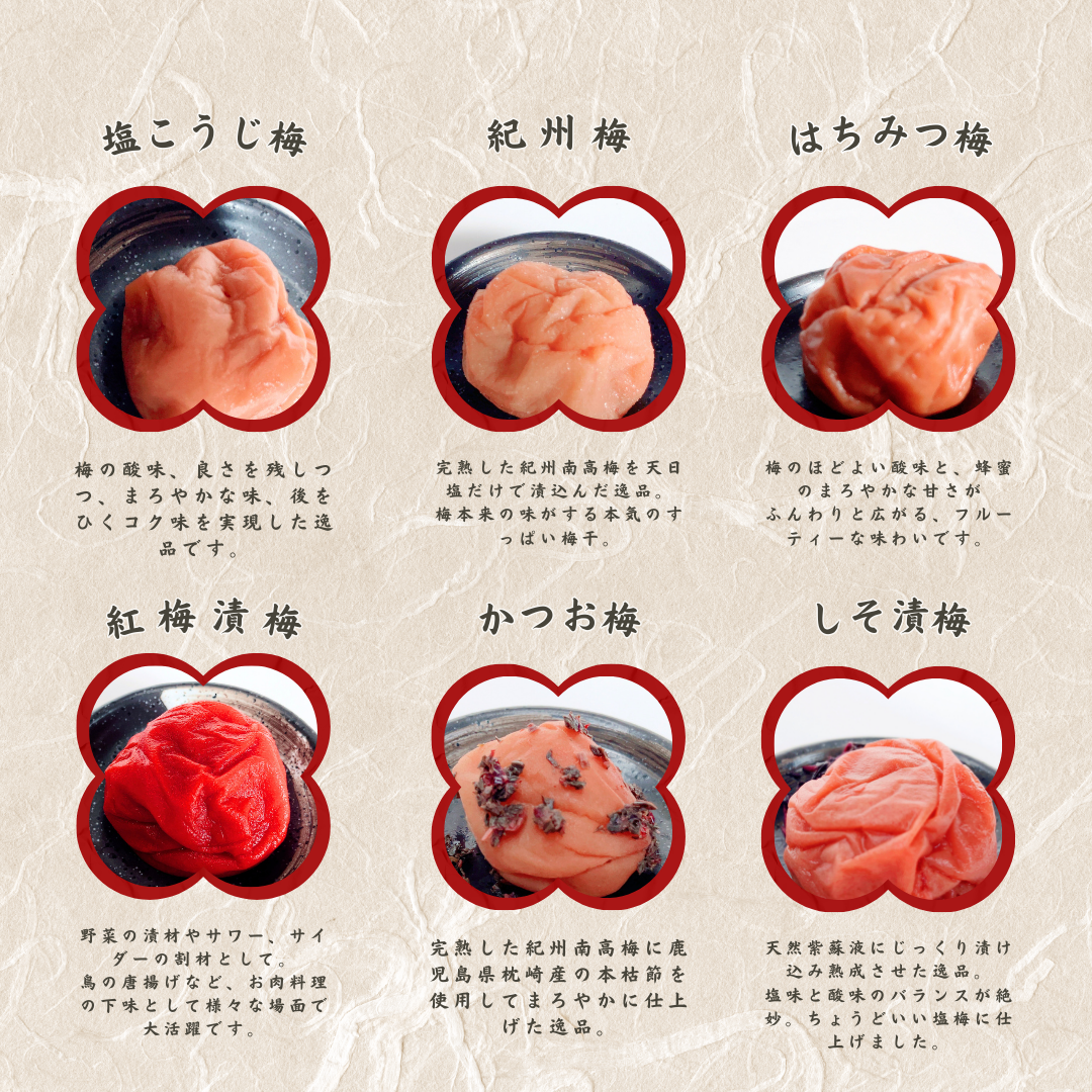 梅干しお味見セット 6種x2粒