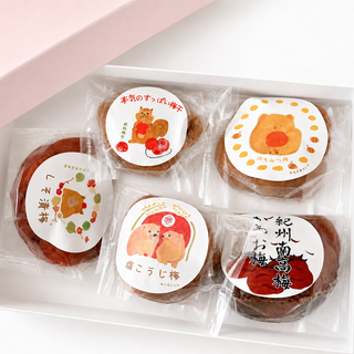 梅干バラエティーセット 各味100g*5p　化粧箱入